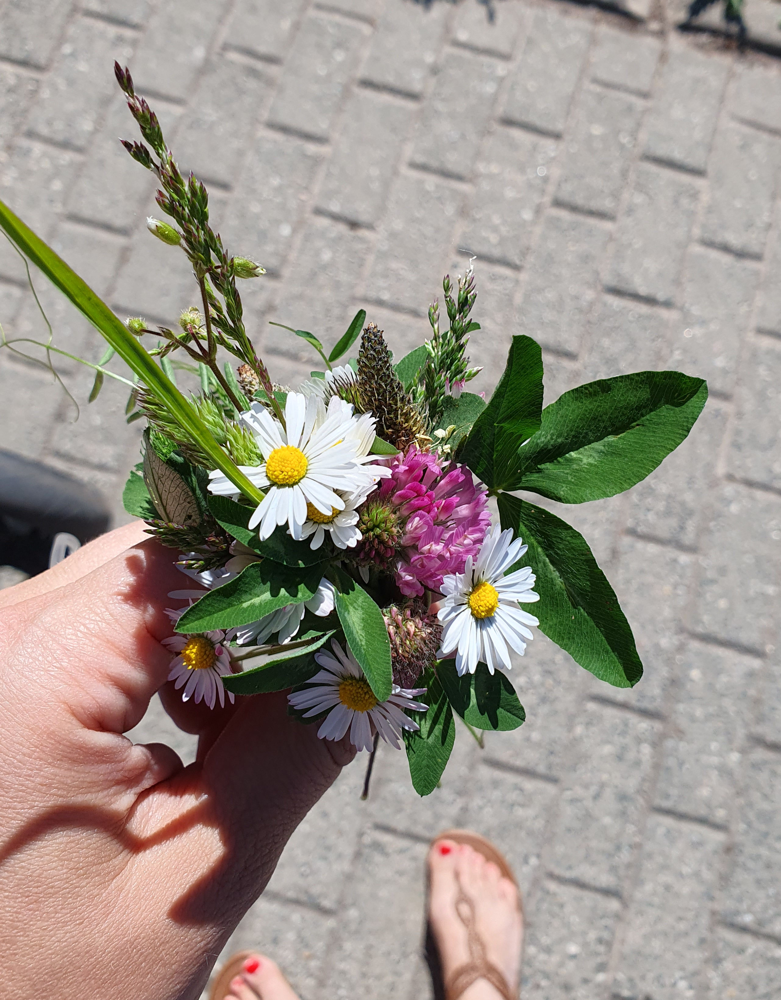 Ein bunter Wiesenblumenstrauß